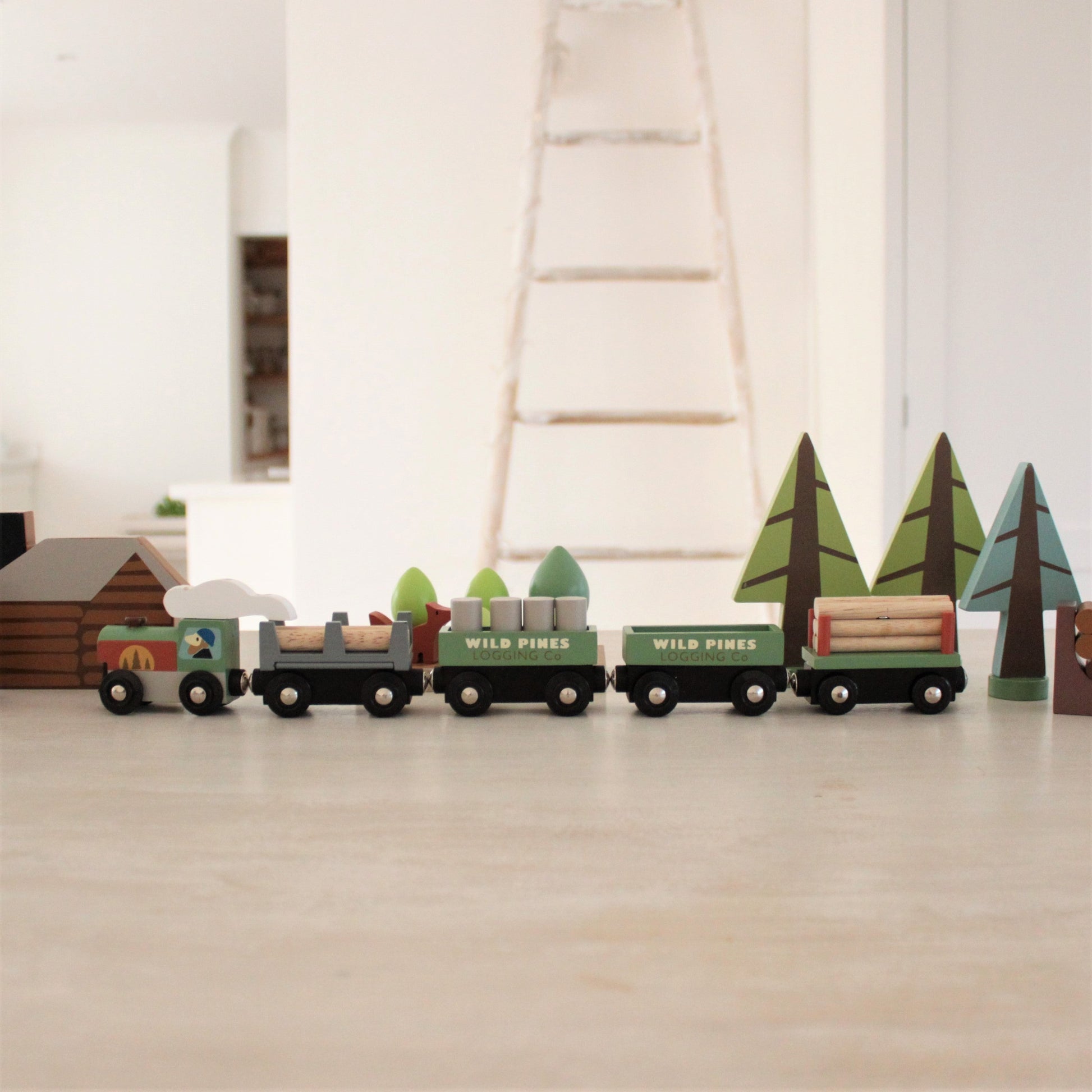 Wild Pines Train Set - REGN