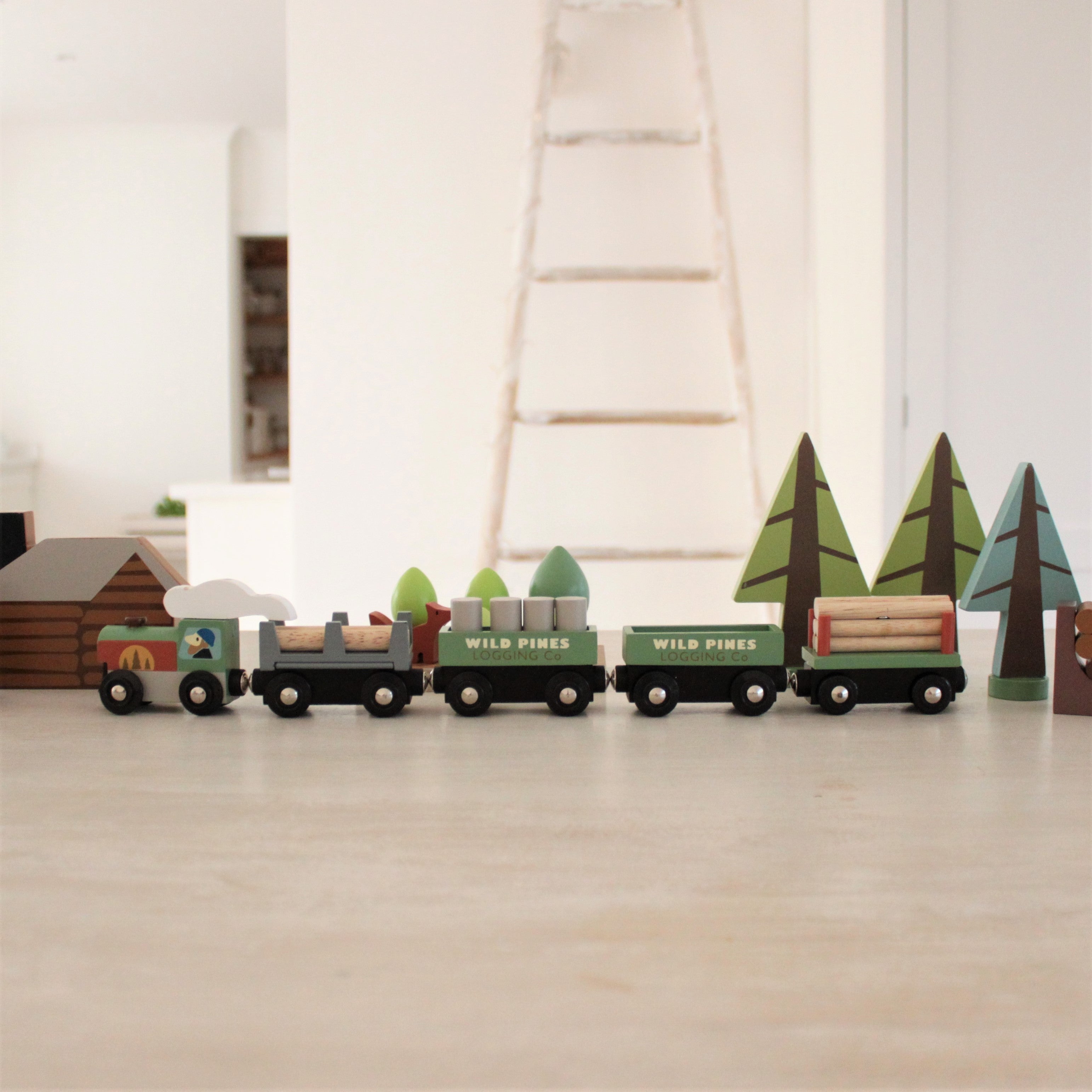 Wild Pines Train Set - REGN