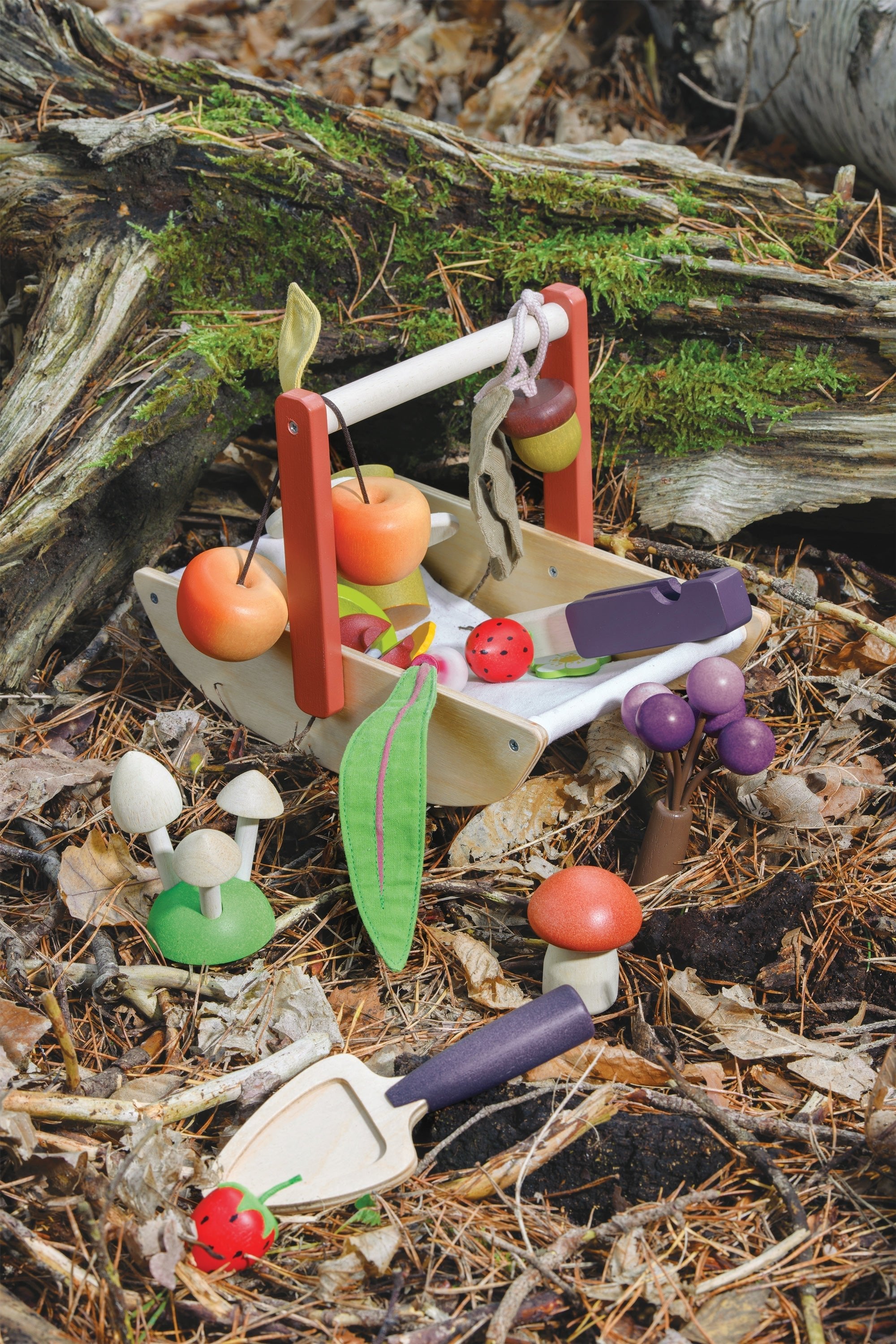 Wild Wood Foraging Trug - REGN
