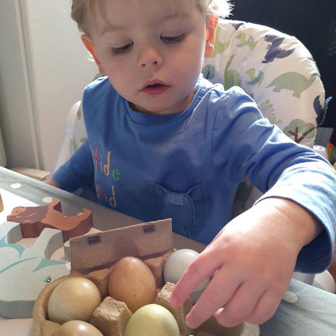 Wooden Eggs - REGN