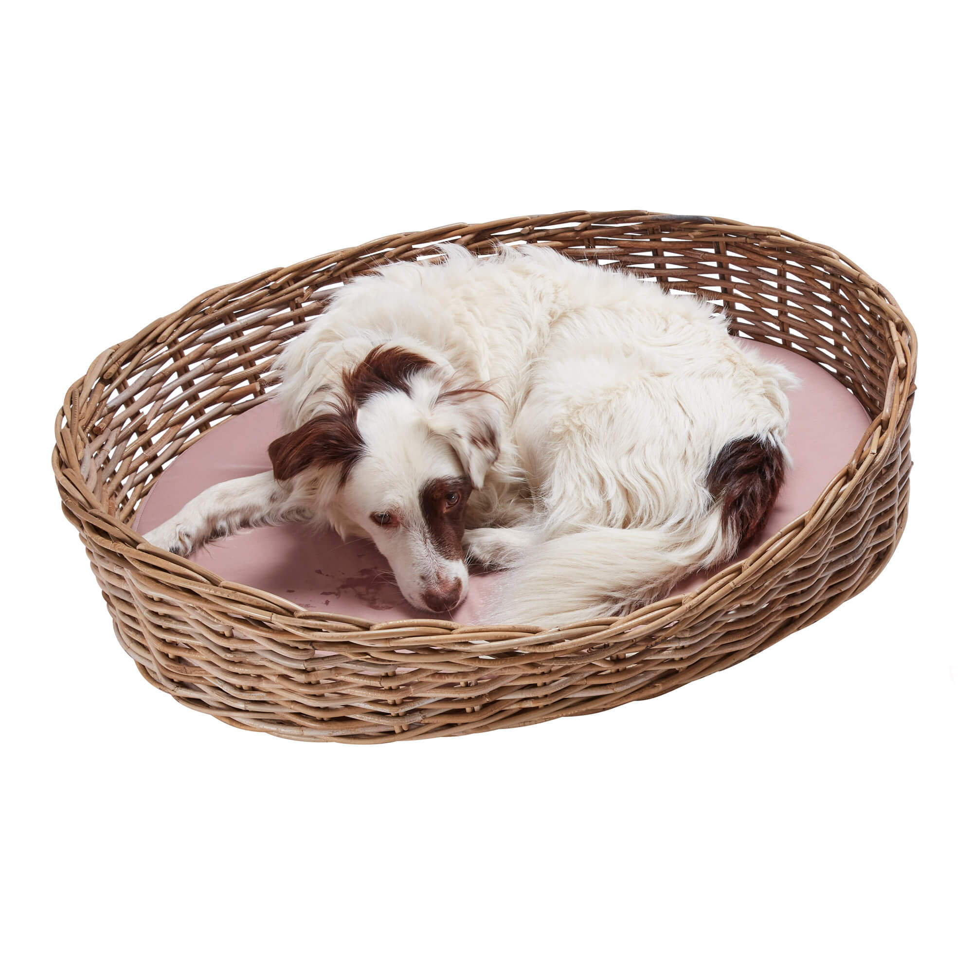 Wovenhill Kubu Rattan Oval Pet Bed - REGN