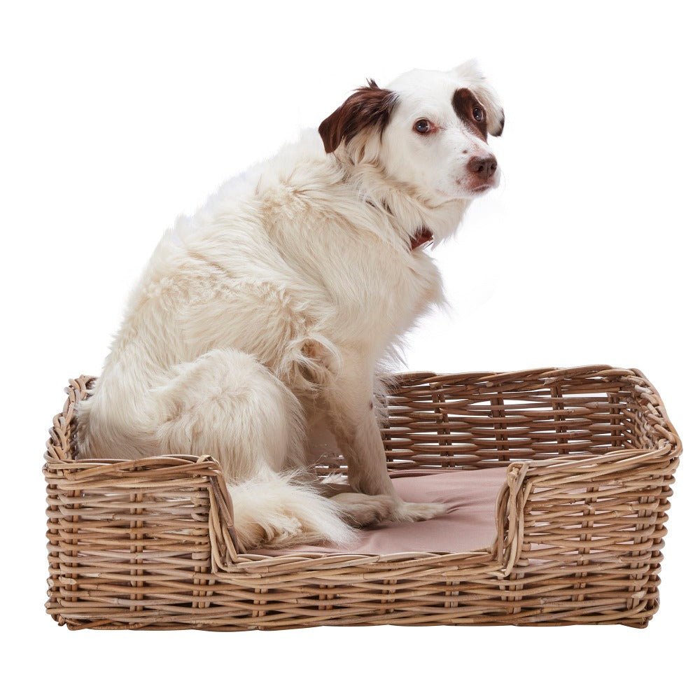 Wovenhill Kubu Rattan Rectangular Pet Bed - REGN
