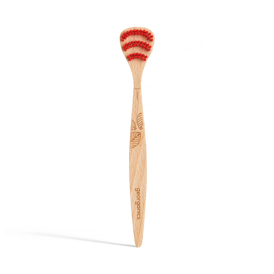 Beechwood Tonguebrush