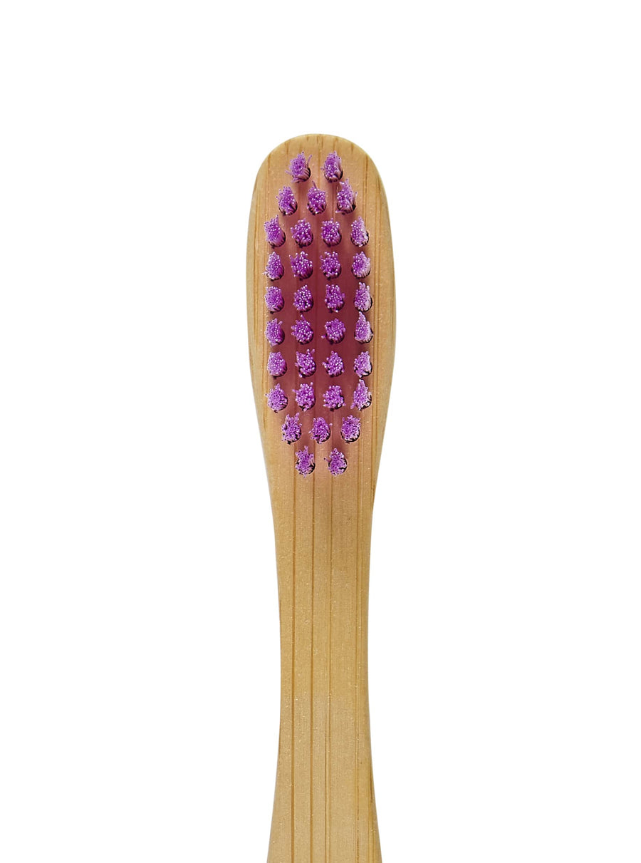 Toothbrush bristles in purple