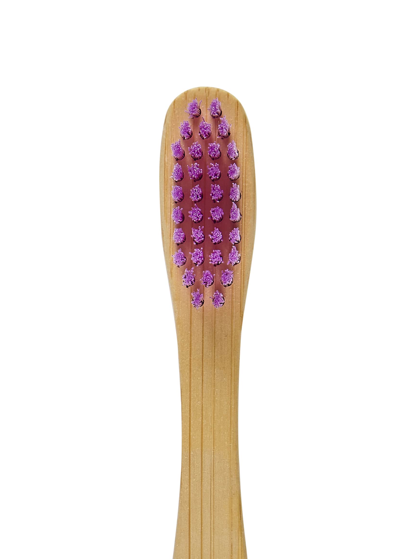 Adult Bamboo Eco Friendly Toothbrush - 1 Pack - REGN