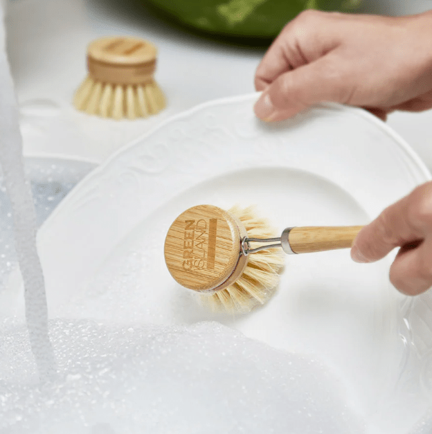 Green Island Plastic Free Scrubbing Brush For Dishes, Eco Friendly Vegan Scrubber - REGN
