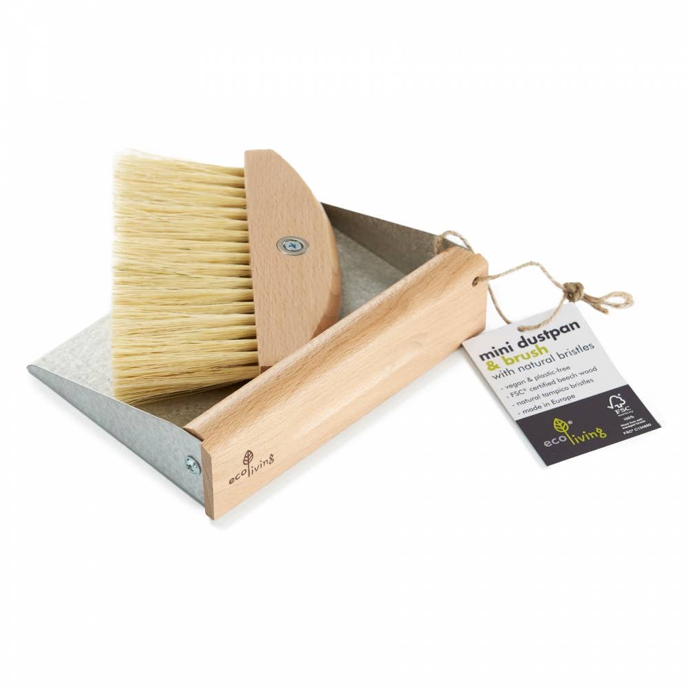 Mini Dustpan Set with Magnets - REGN