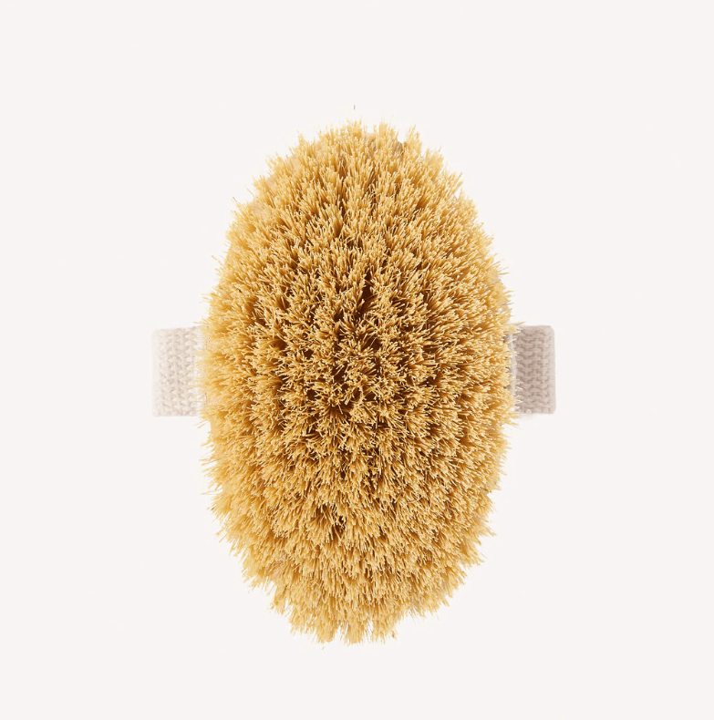 Natural Beechwood Body Exfoliating Brush, Eco Plastic Free Body Exfoliator - REGN